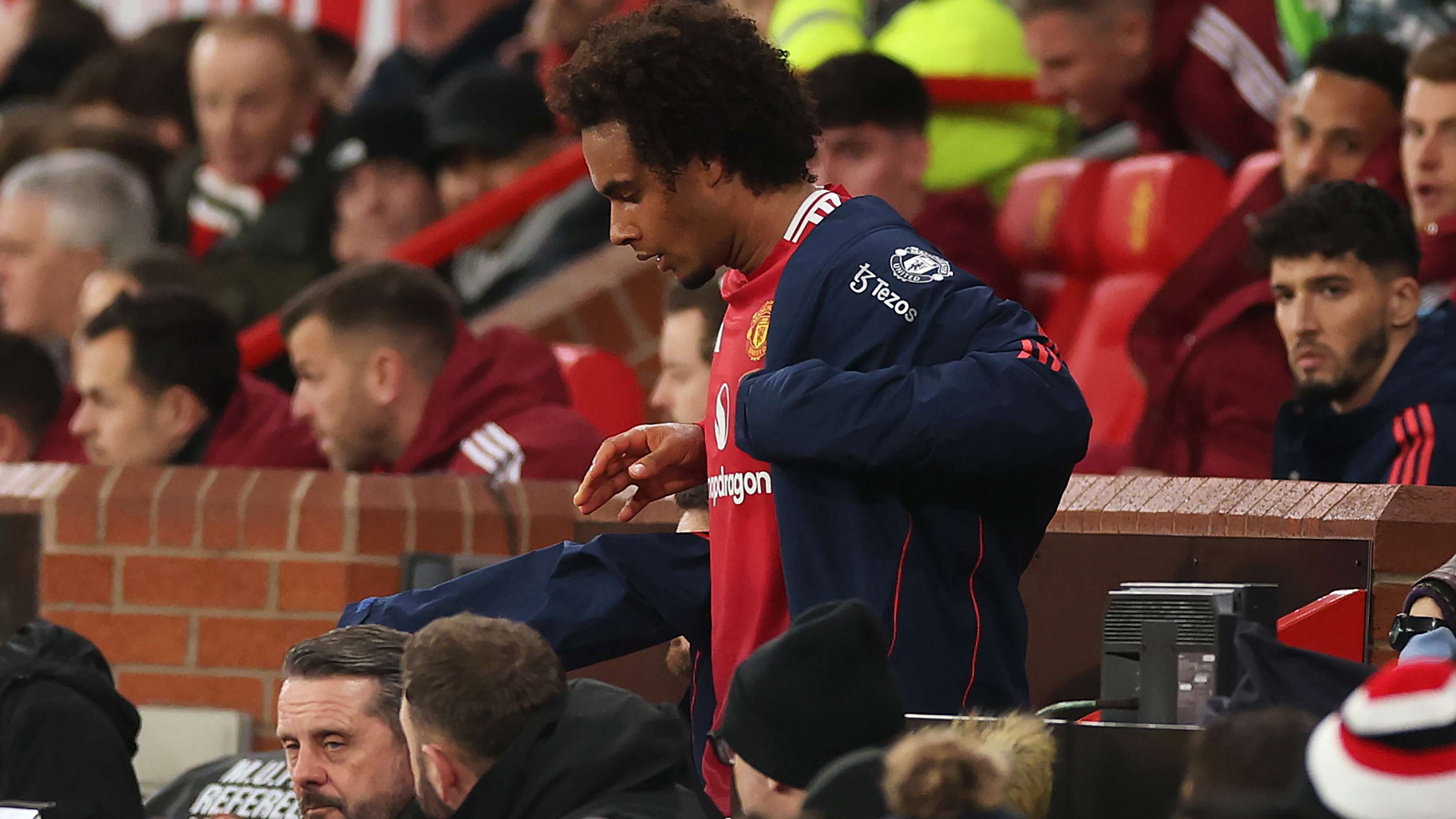 球迷和評論 球迷和評論