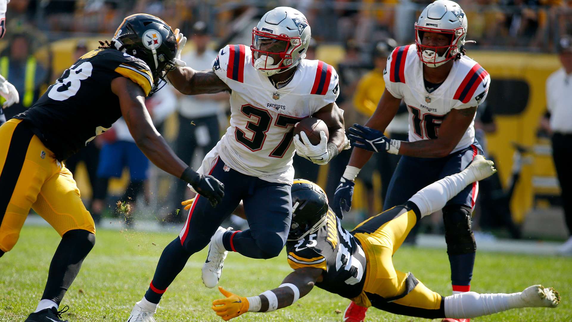 主要原因在 主要原因在